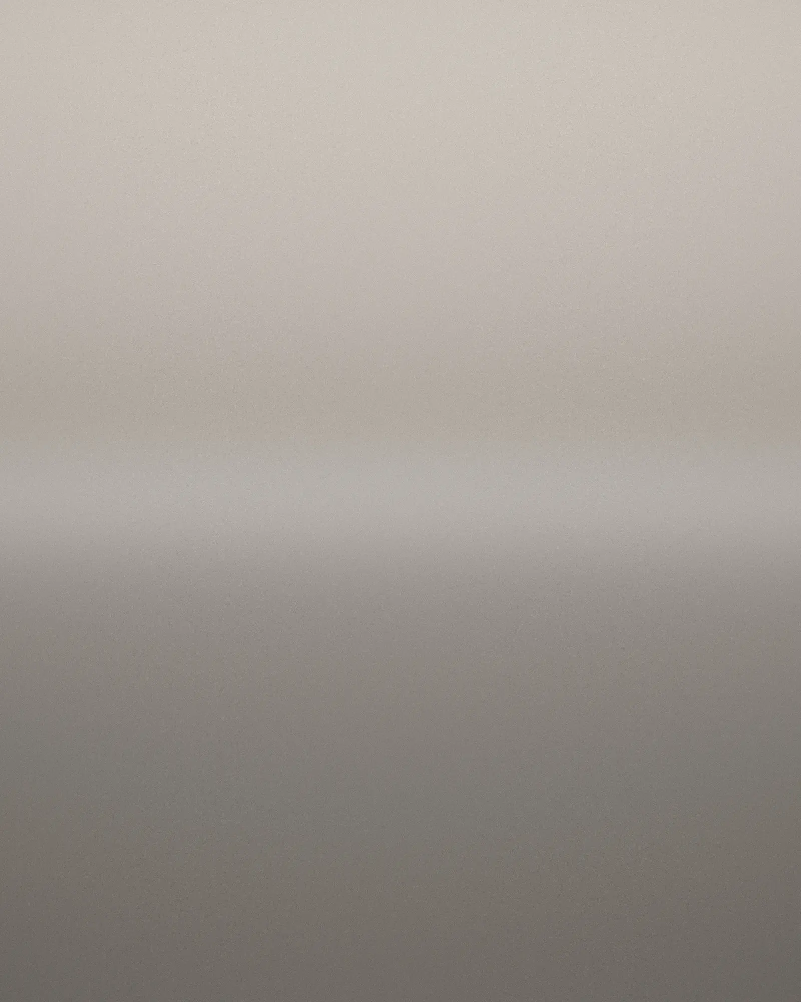 Wet sand holds a pale dawn sky; a thin dark band of distant hills divides the frame.