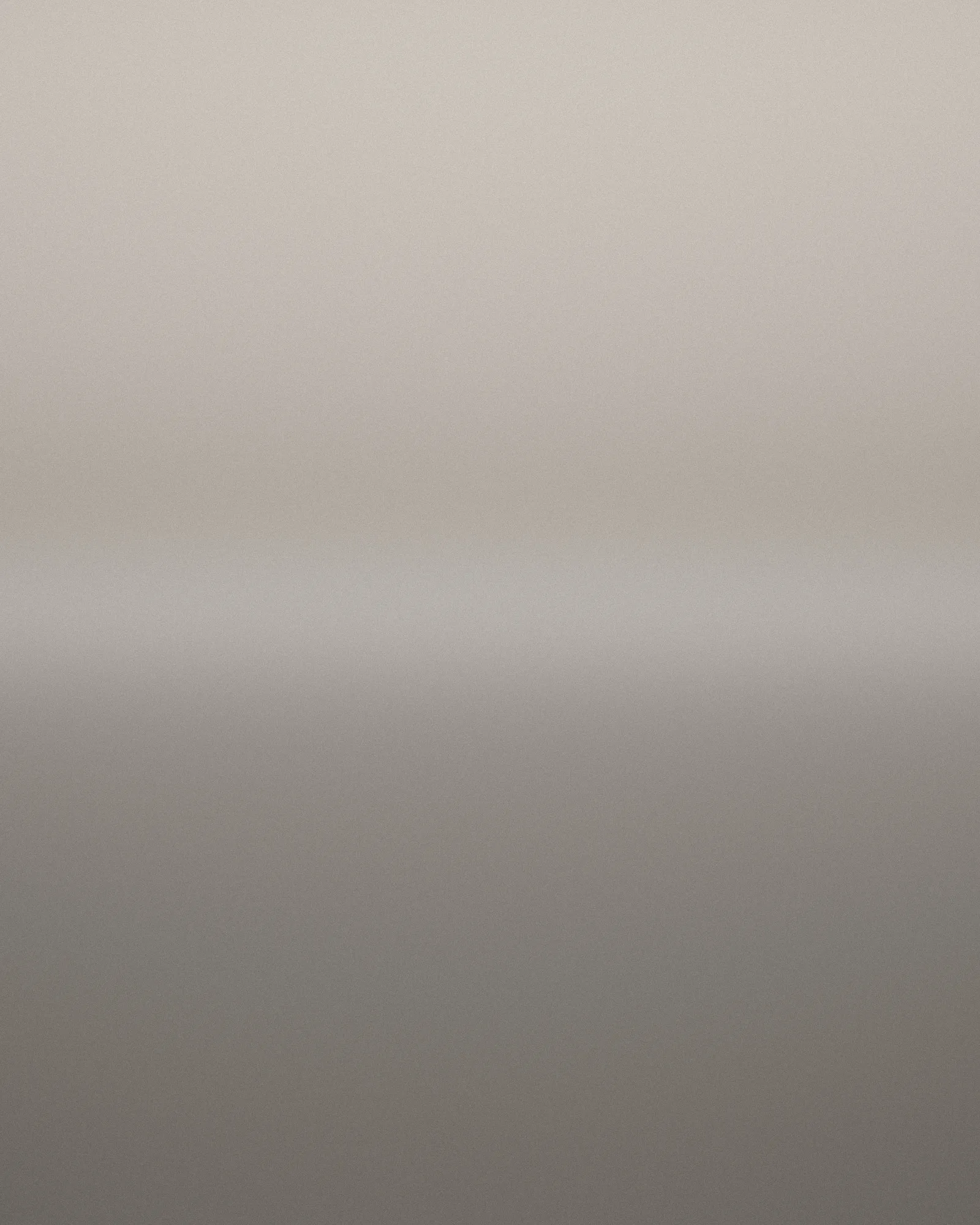 Wet sand holds a pale dawn sky; a thin dark band of distant hills divides the frame.