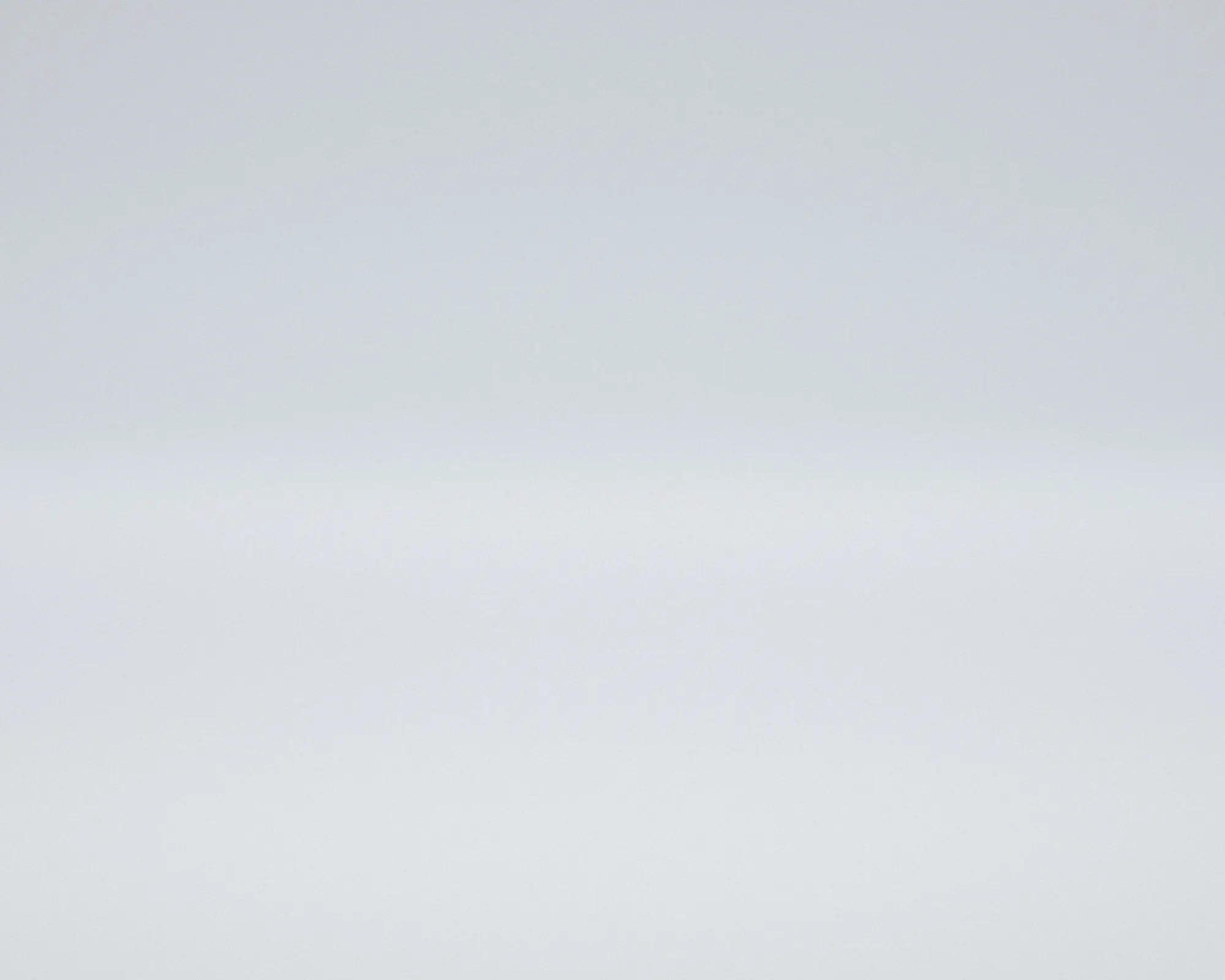 A near-white plateau of snow meets a pale sky, separated by the faintest grey ridge.
