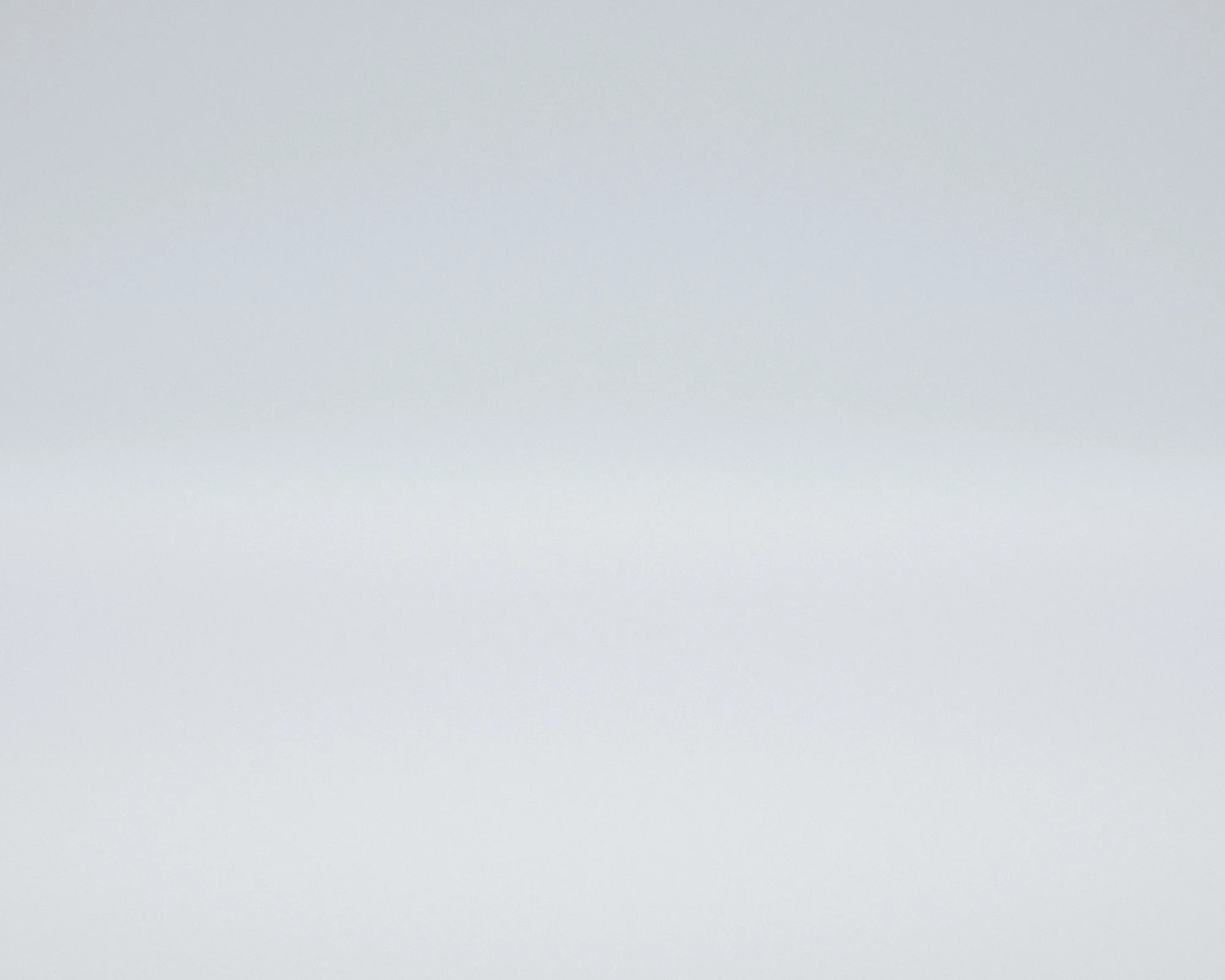 A near-white plateau of snow meets a pale sky, separated by the faintest grey ridge.
