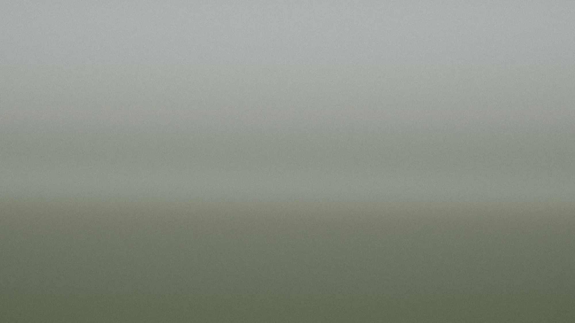 A muted green field runs to a low ridge under an even, overcast grey sky.