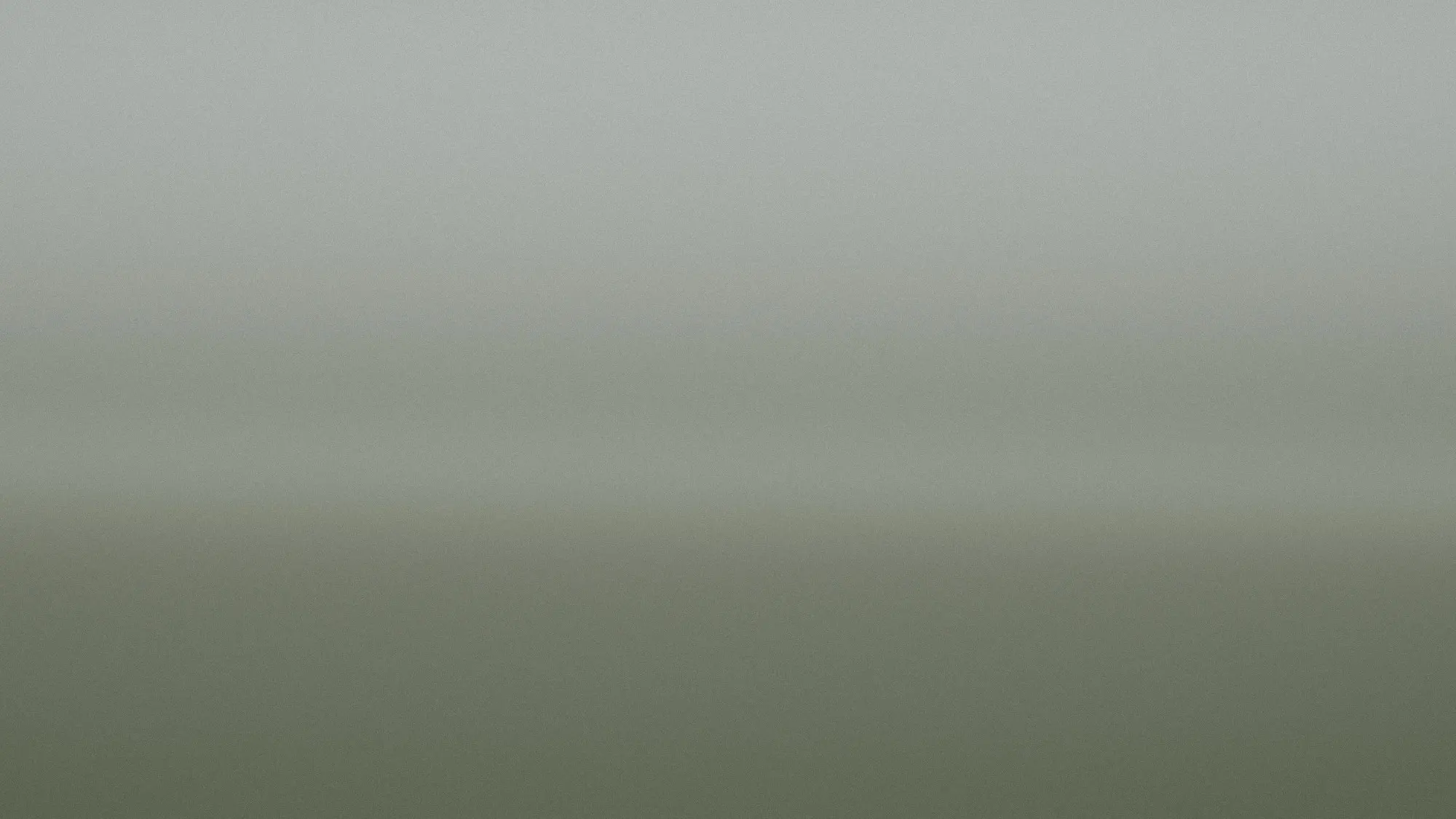 A muted green field runs to a low ridge under an even, overcast grey sky.